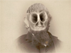 Bonehead
