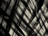 Lattice