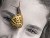Snailface McGuillicuddy