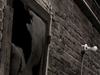 Backalley Bleach