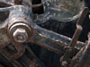 Cannery Rust