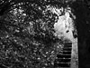 Descend - Ft. Casey, Whidbey Island, WA