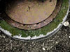Lid
