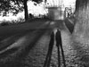 Long Shadows