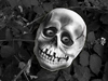 Disembodied