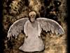 With Wings